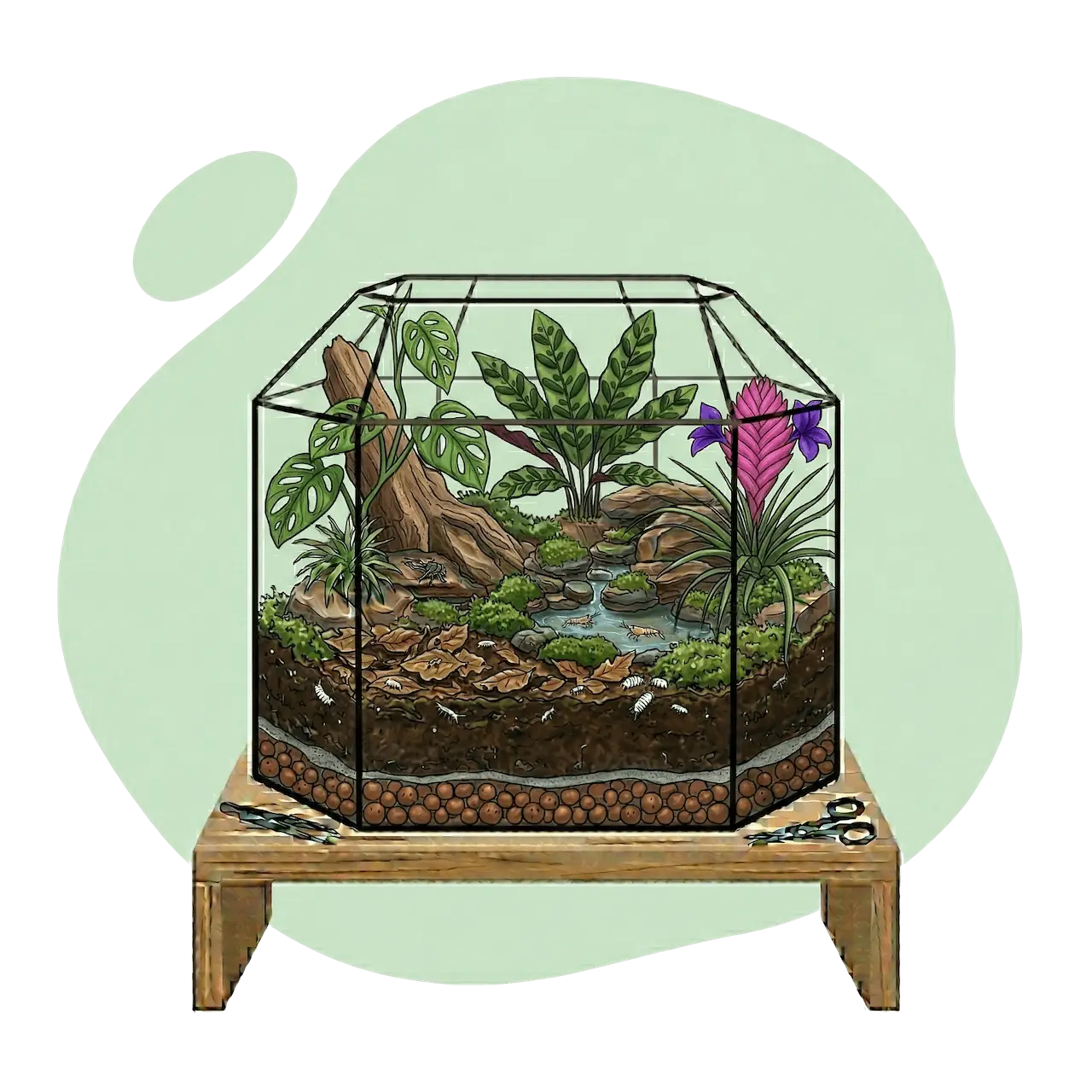 Bioaktives Terrarium mit natürlichem Ökosystem