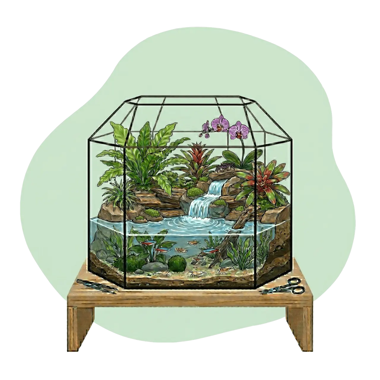 Paludarium mit Land- und Wasserbereich