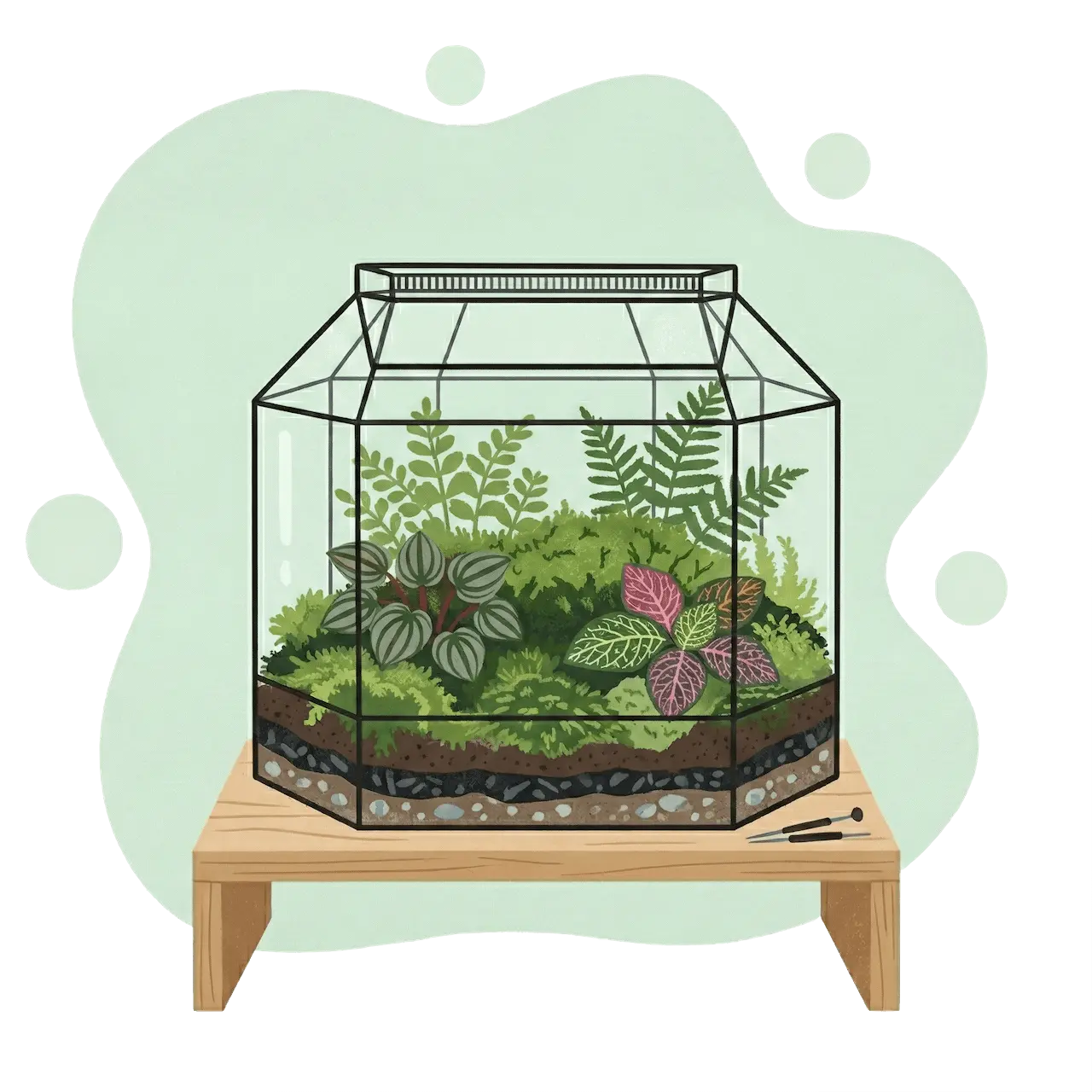 Tropisches Terrarium mit Moosen und Farnen